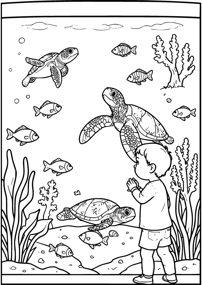 Aquarium Visit