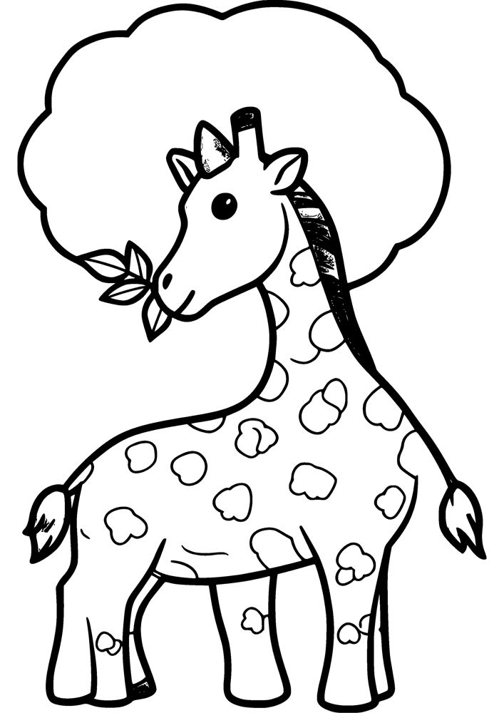 Baby Giraffe