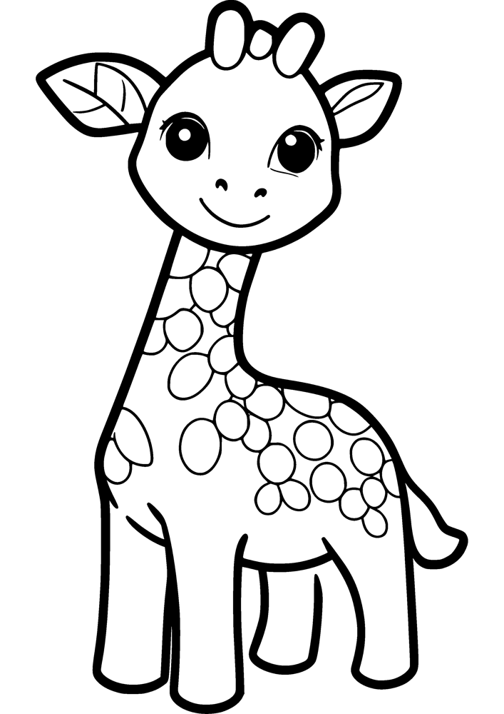 Baby Giraffe