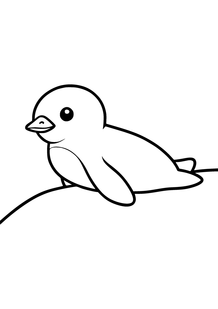 Baby Penguin Slide