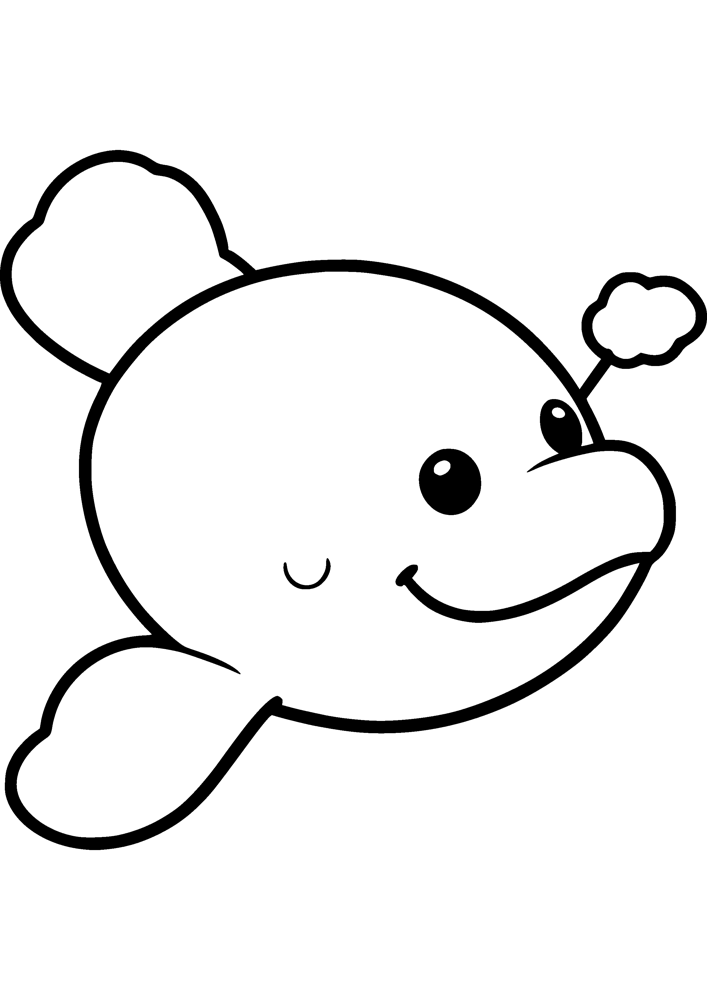 Baby Whale