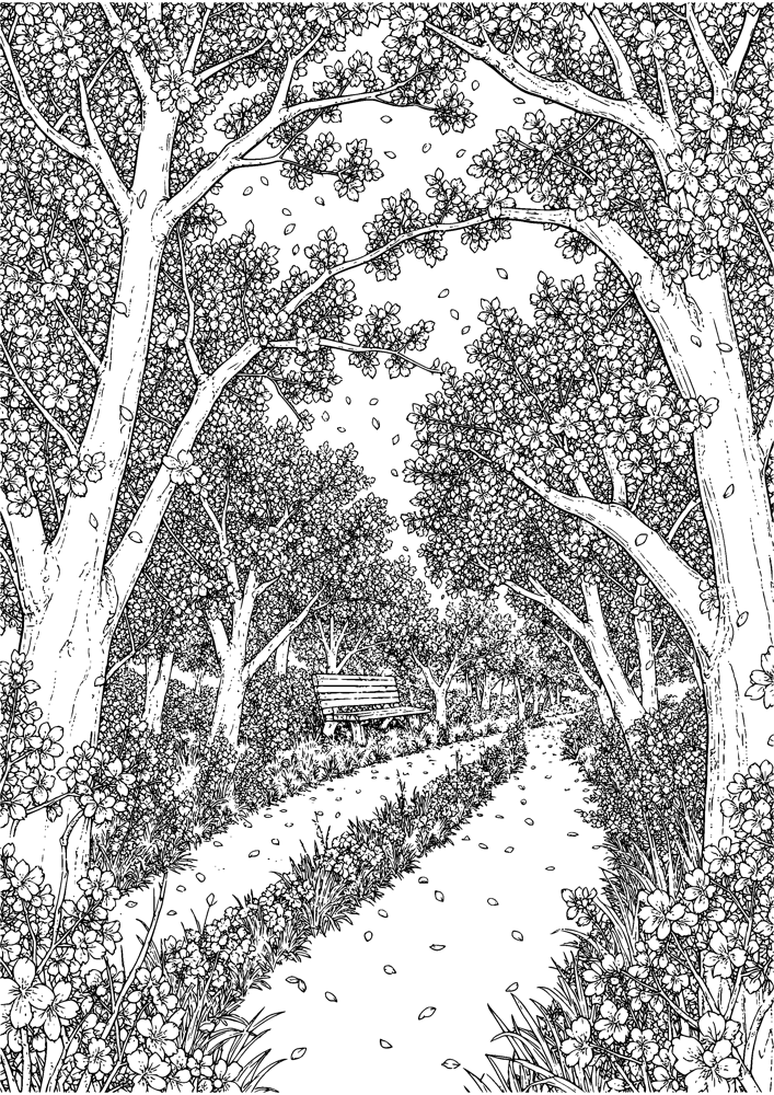 Cherry Blossom River Path