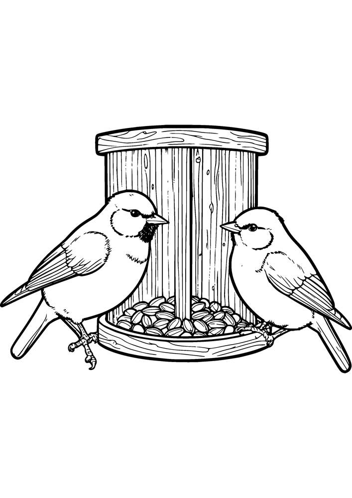 Chickadees at the Feeder