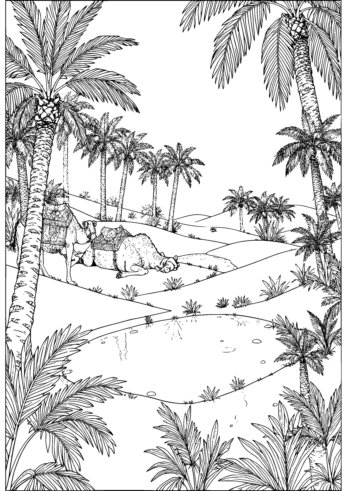 Desert Oasis coloring page — camels rest beside the palm-shaded oasis, free printable line art to color