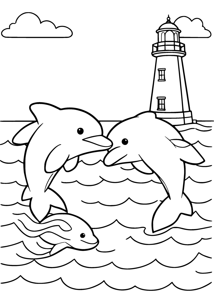 Dolphin Jump
