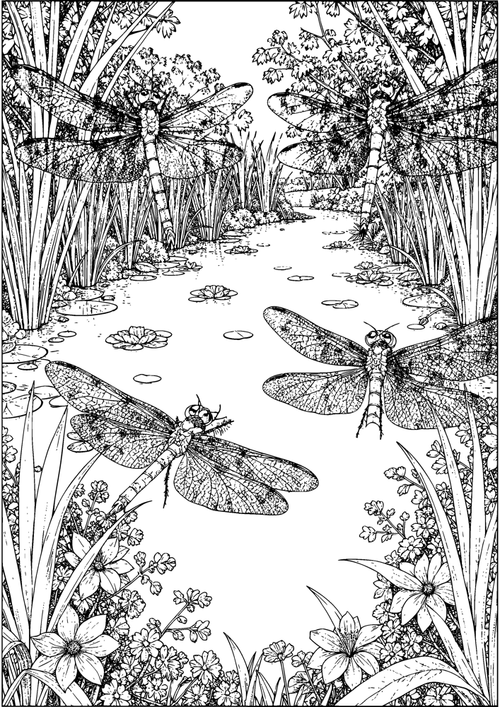 Dragonfly Pond World