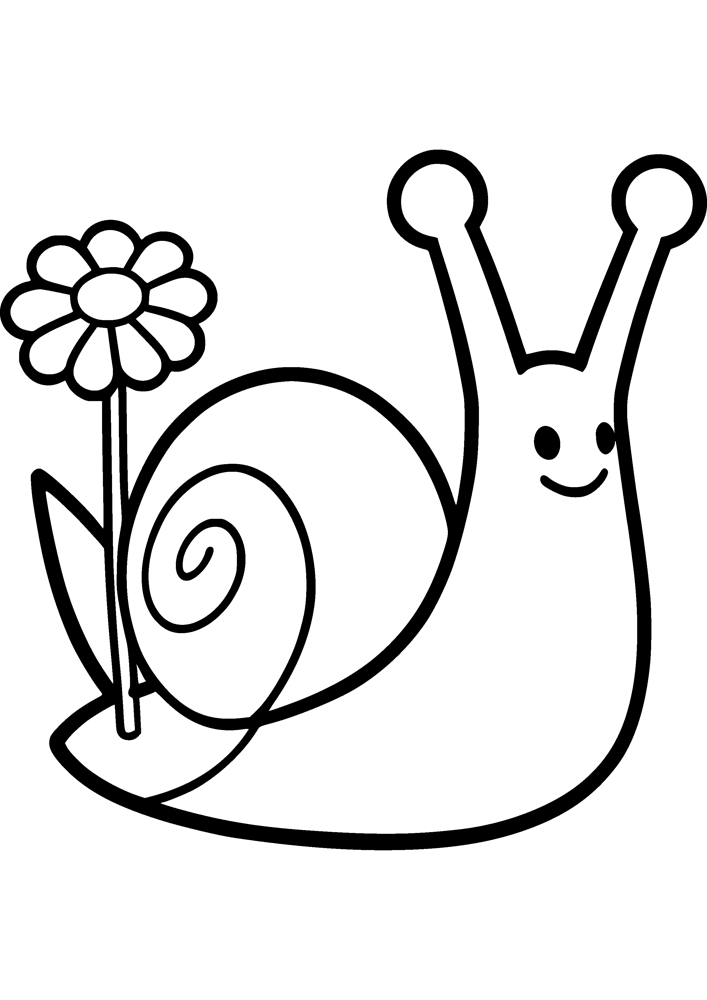 Garden Snail