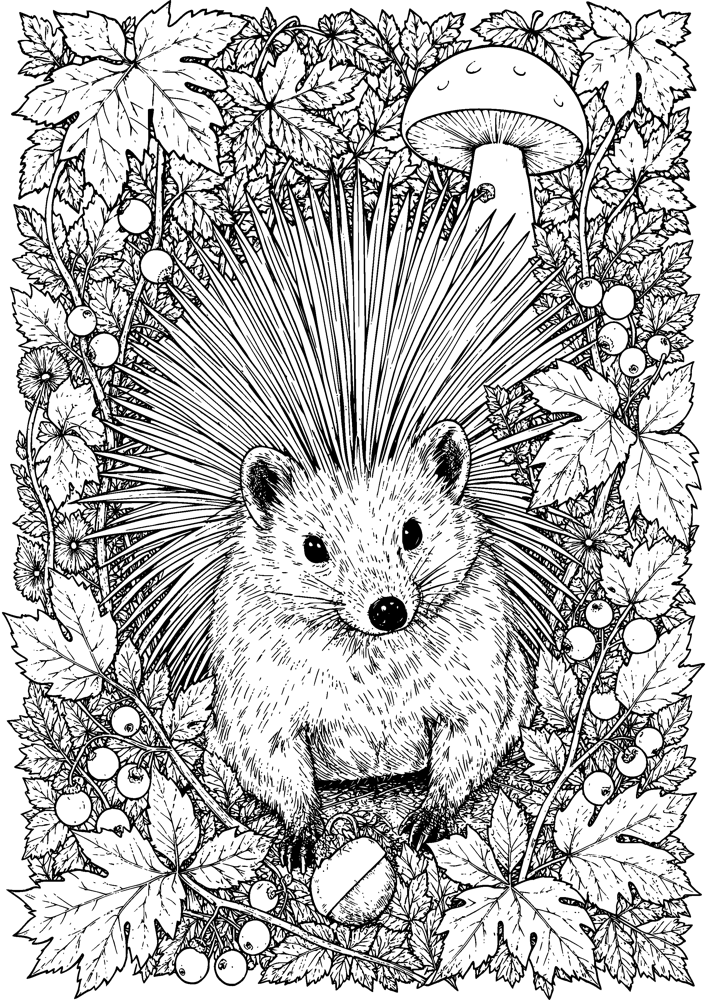 Hedgehog Picnic
