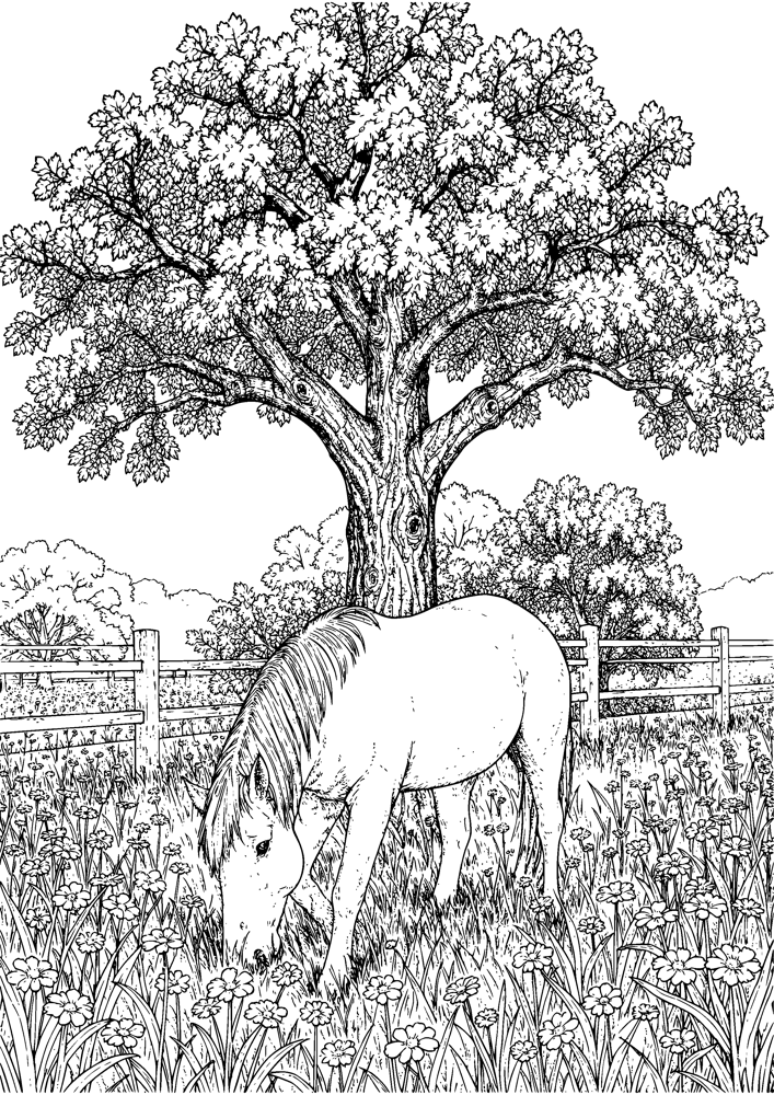 Horse in the Meadow