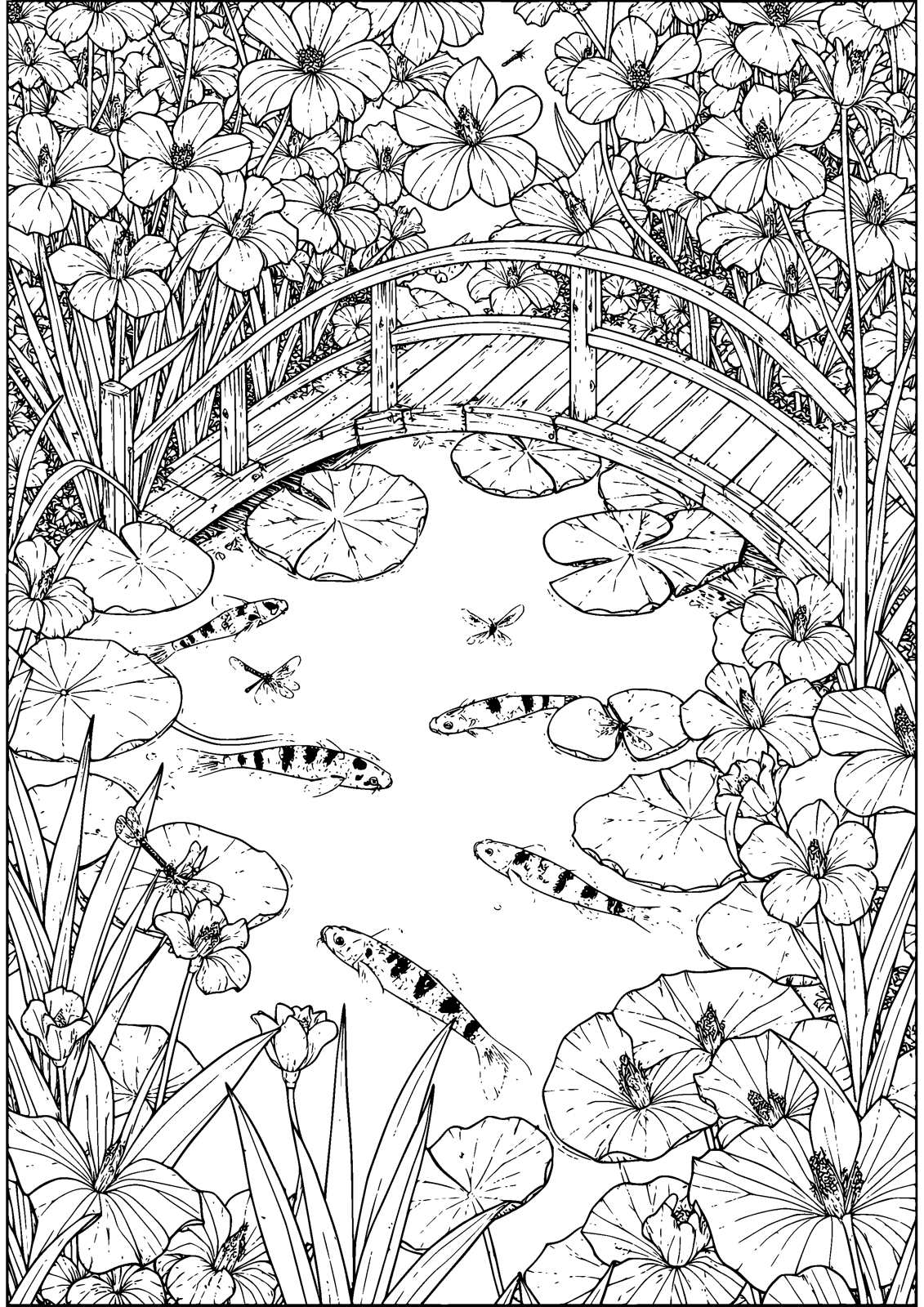 Koi Pond Bridge coloring page — koi drift beneath the little wooden bridge, free printable line art to color