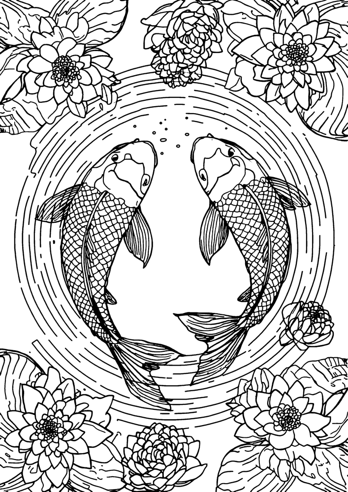 Koi Pond