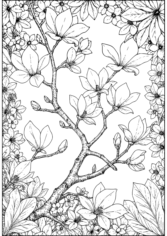 Magnolia Branch