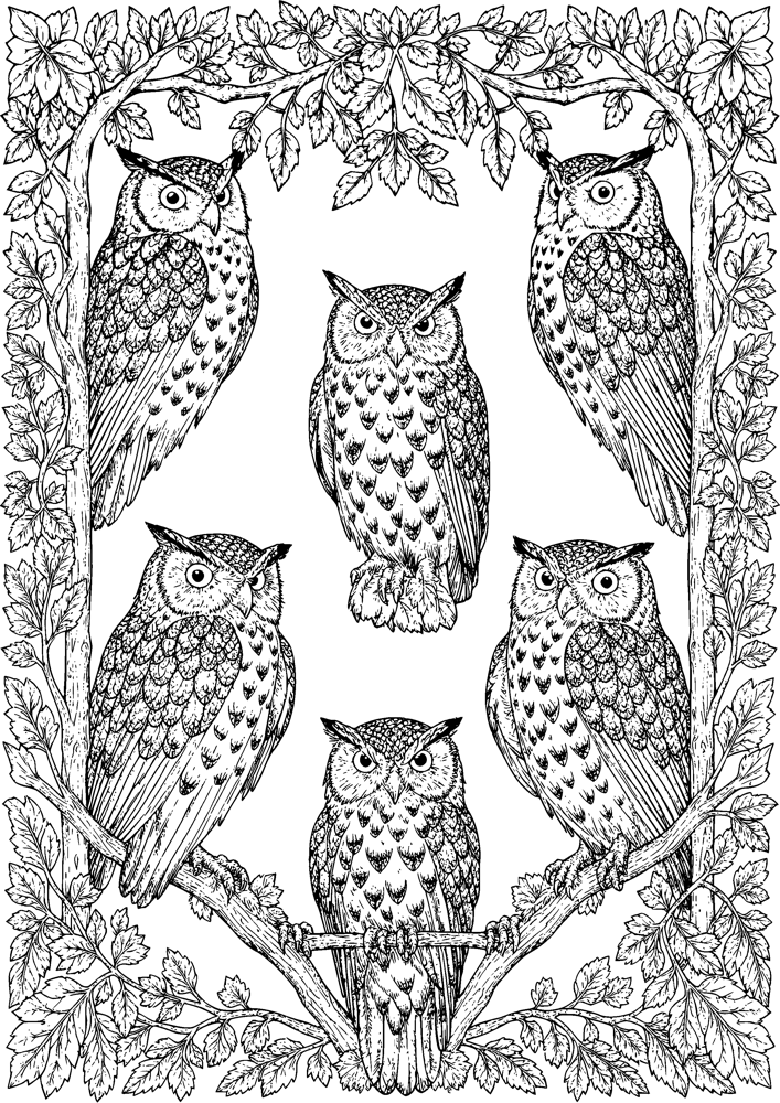 Owl Council