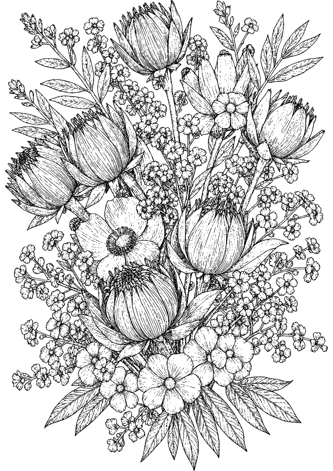 Protea Bouquet coloring page — exotic proteas anchor a textured bouquet, free printable line art to color