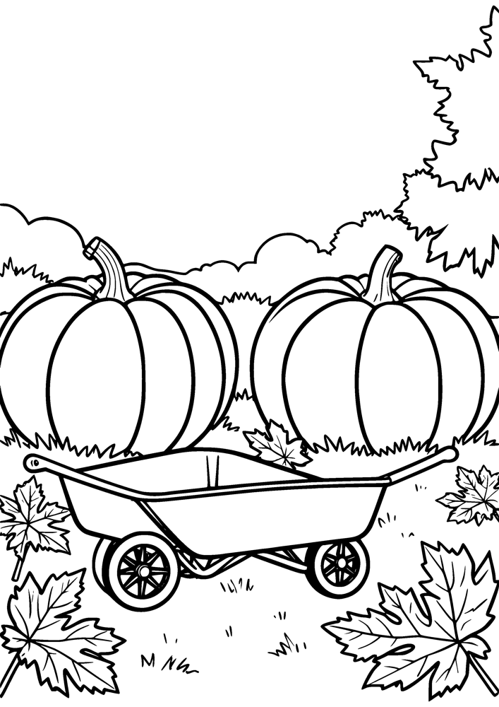 Pumpkin Patch Harvest