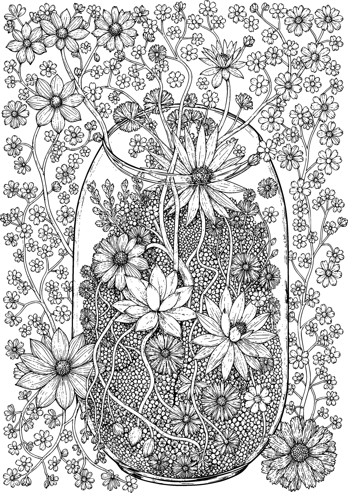 Succulent Terrarium coloring page — a tiny world of succulents behind glass, free printable line art to color