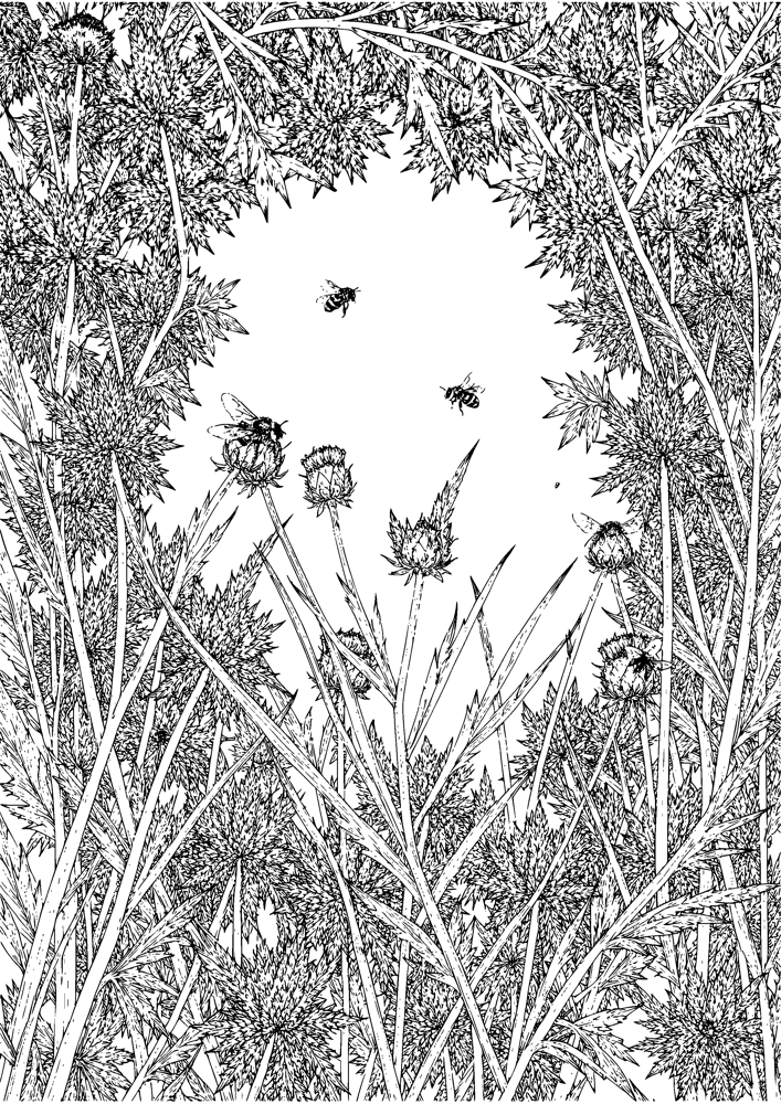 Thistle and Bee