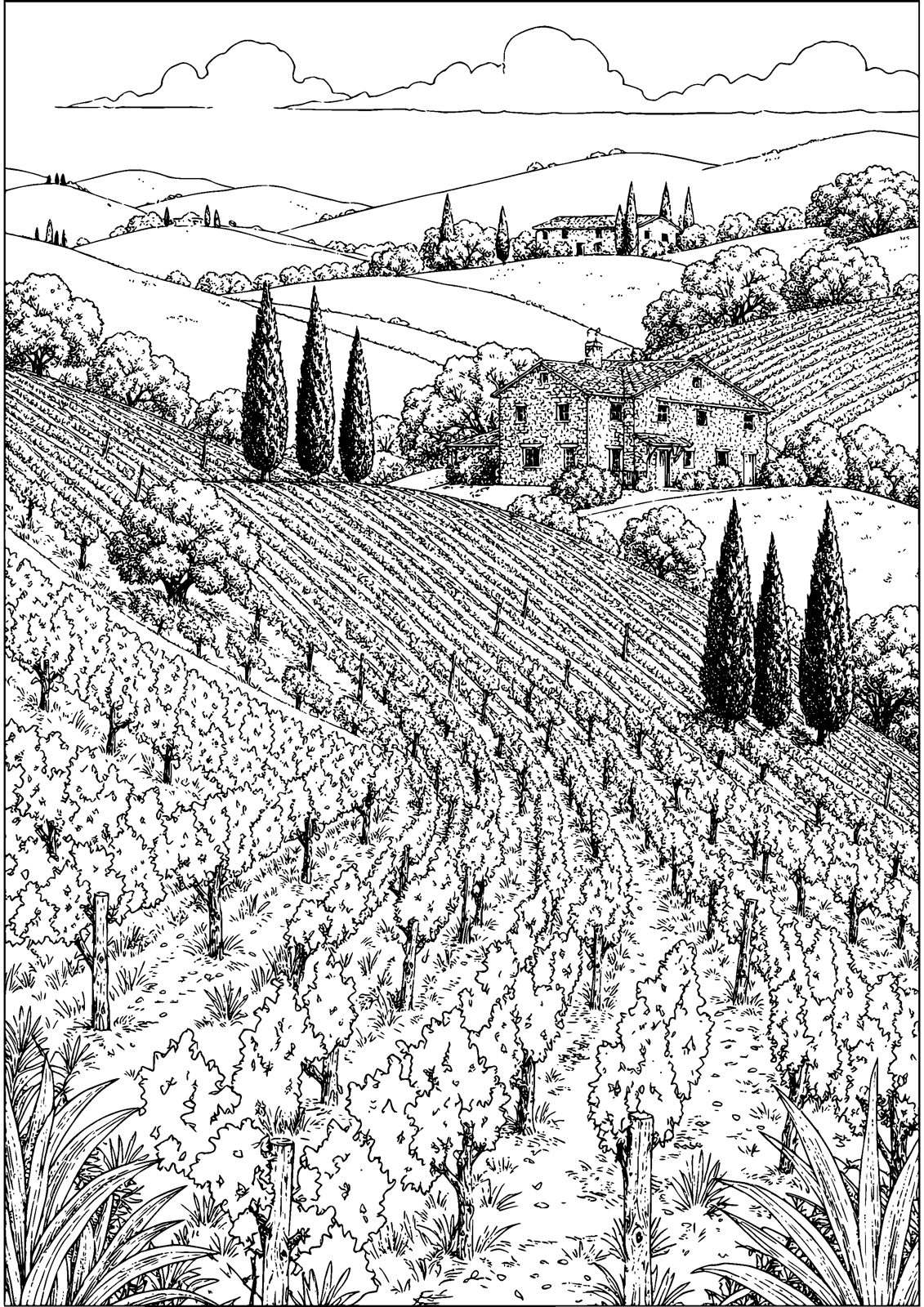 Tuscan Vineyard coloring page — vineyard rows ripple across Tuscan hills, free printable line art to color