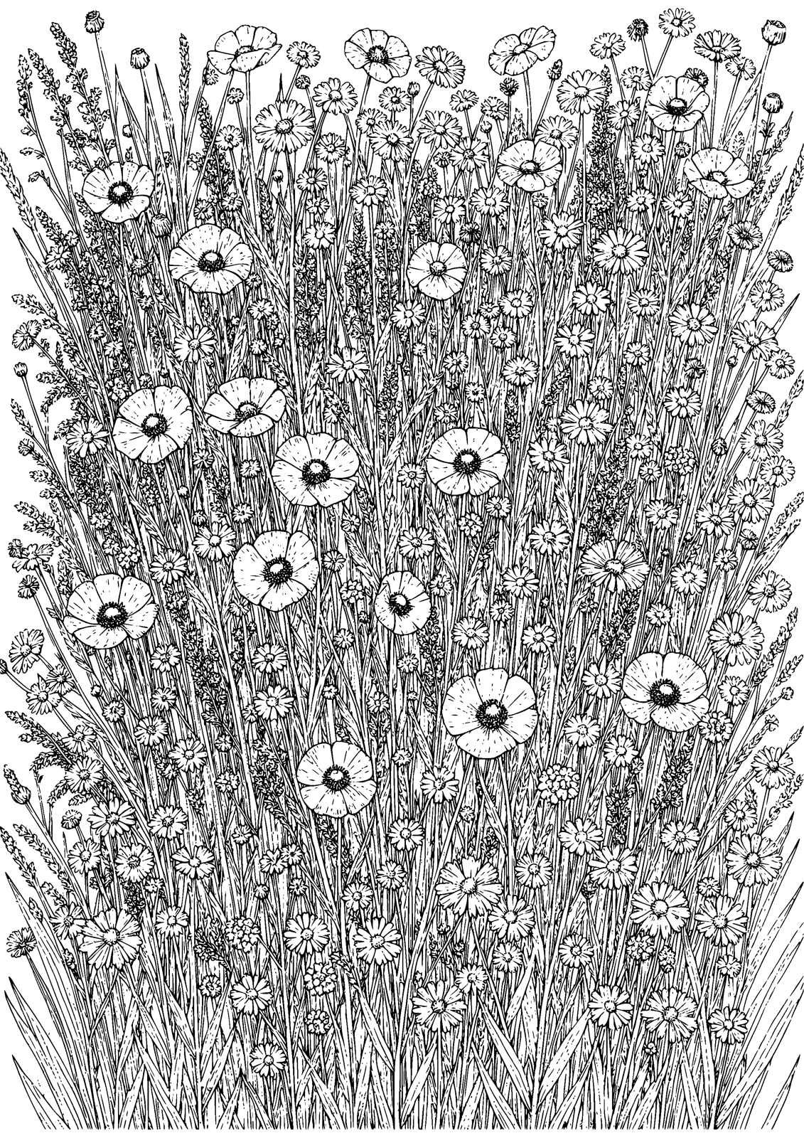Wildflower Tapestry coloring page — a meadow woven from countless wildflowers, free printable line art to color