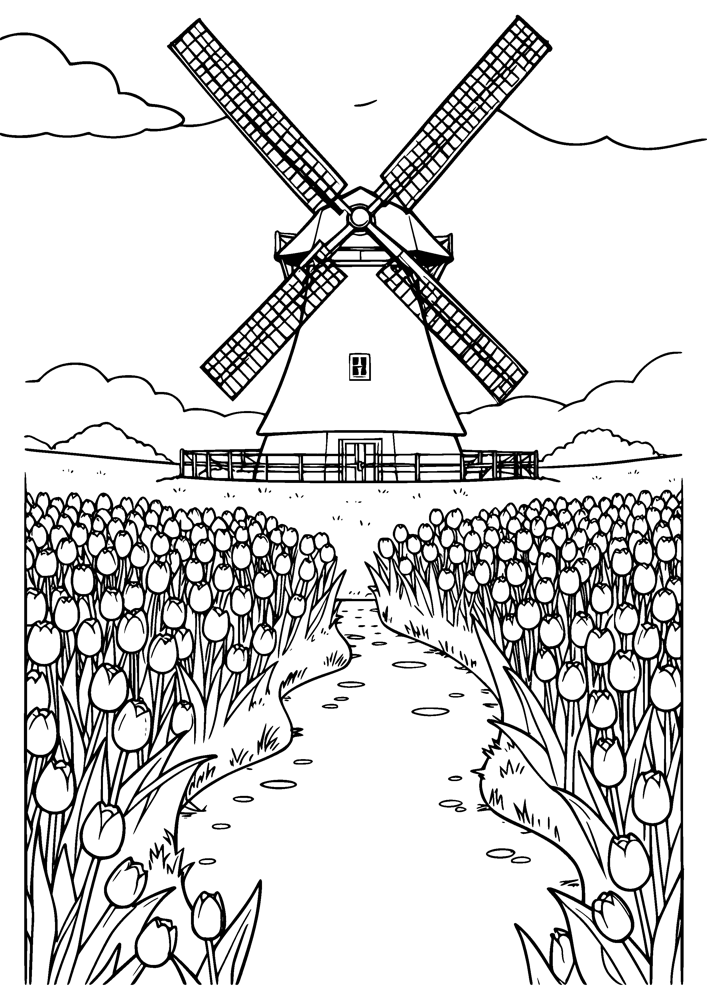 Windmill Tulip Field