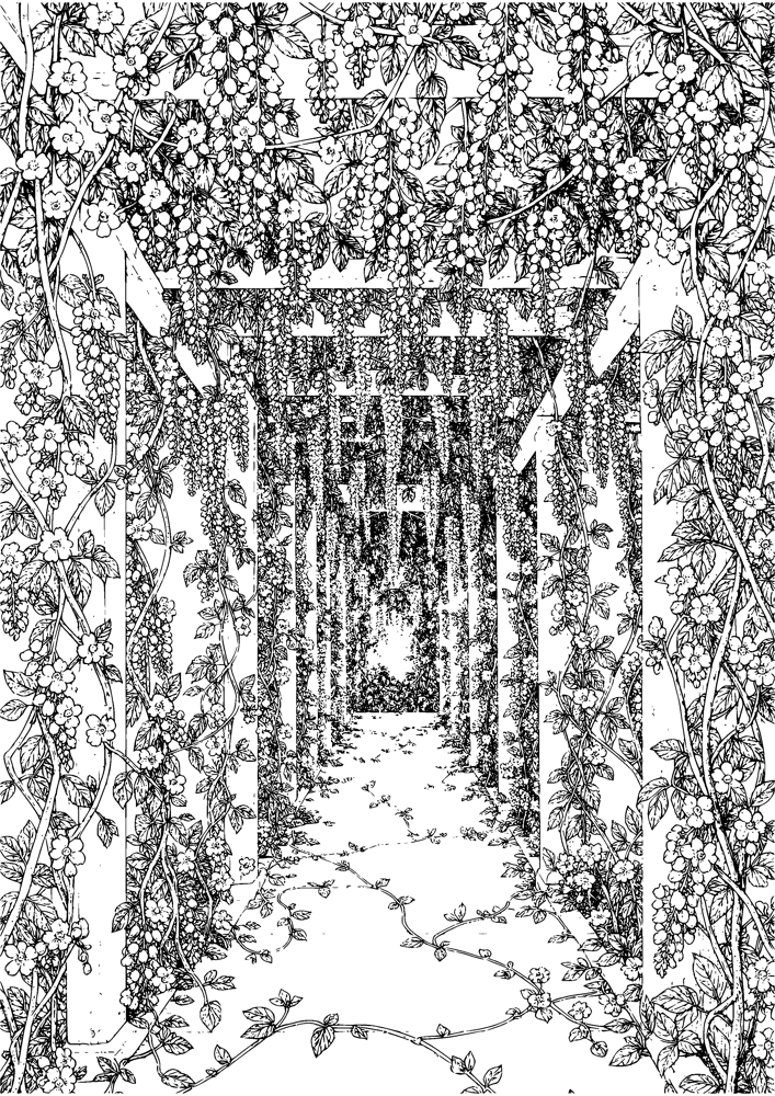 Wisteria Pergola Walk