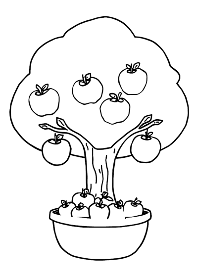 Apple Tree