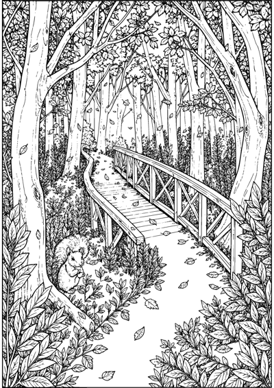 Autumn Forest Path