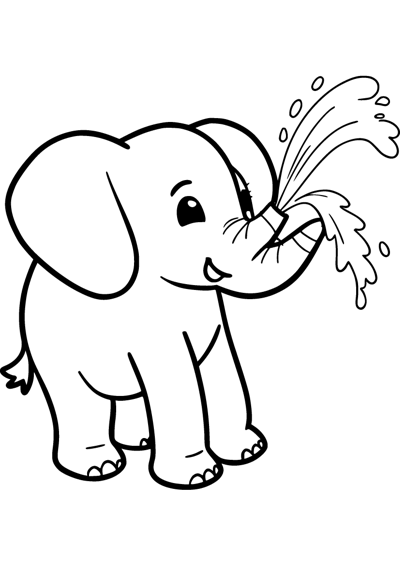 Baby Elephant