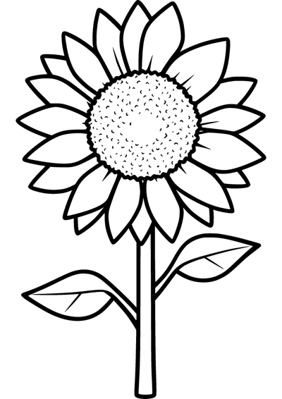 Big Sunflower
