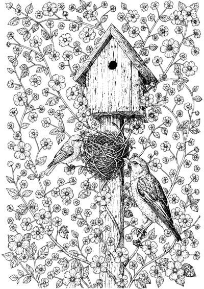 Birdhouse in Spring