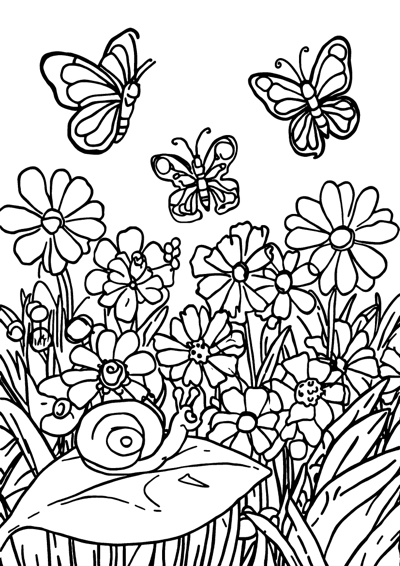 Butterfly Meadow