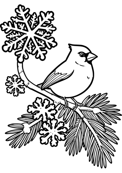 Cardinal in Winter