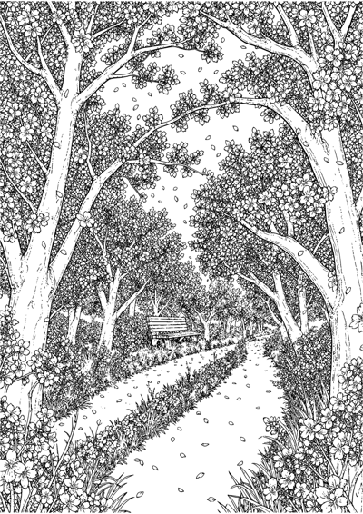 Cherry Blossom River Path