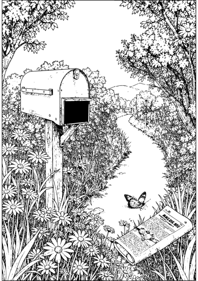 Country Mailbox