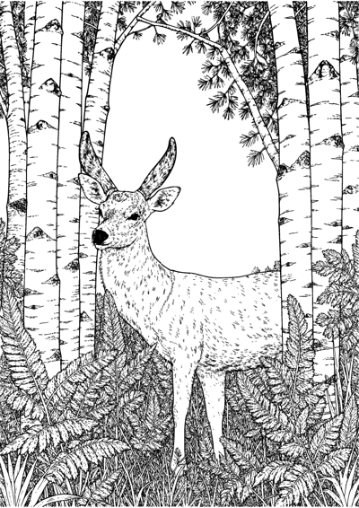 Deer in the Birches