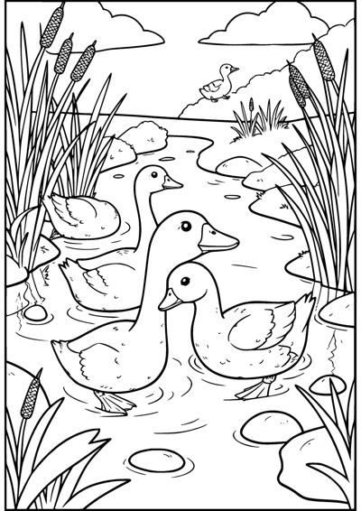 Duck Family Stream