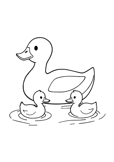 Duck Pond