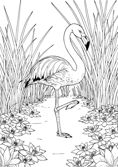 Flamingo Lagoon