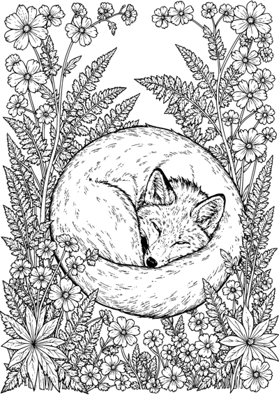 Fox and Ferns