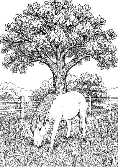 Horse in the Meadow
