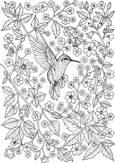 Hummingbird and Trumpet Flowers