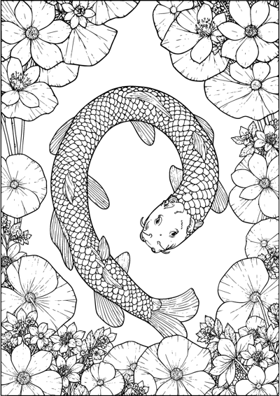 Koi Circle