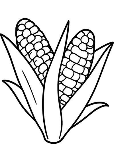 Little Corn Cob
