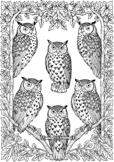 Owl Council