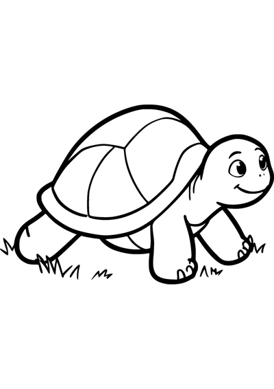 Slow Turtle