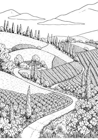 Tuscan Countryside
