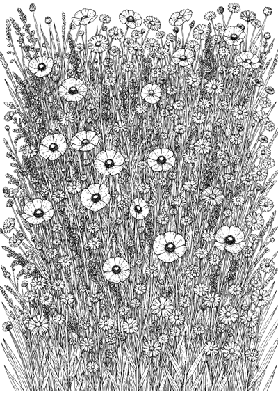 Wildflower Tapestry