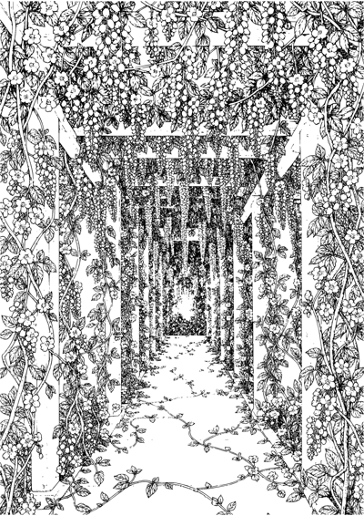 Wisteria Pergola Walk